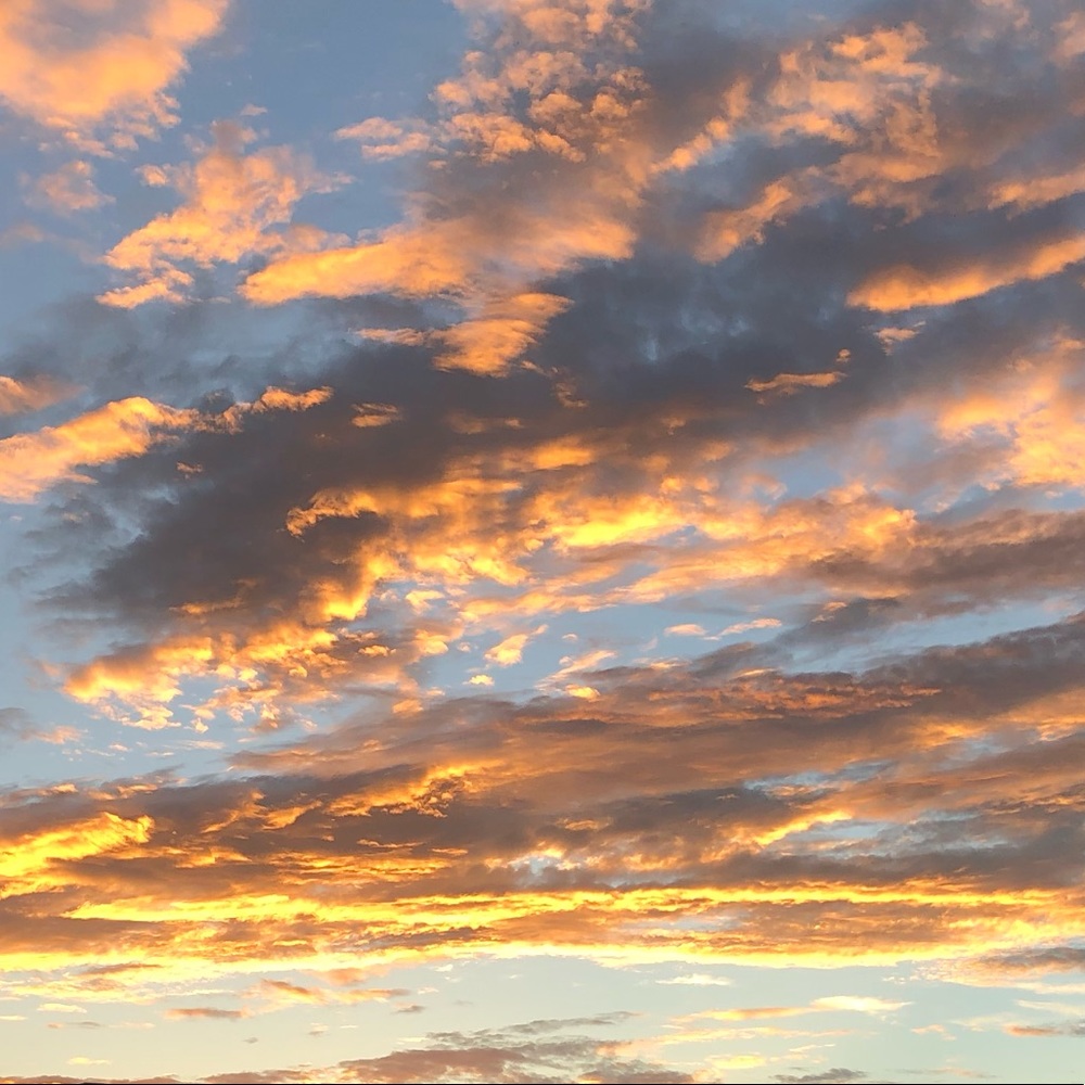 Meet your Posher, Kat